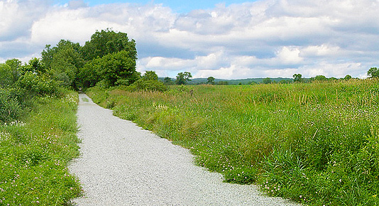 Landsdown Trail + Clinton Township, NJ